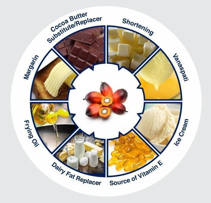 Solution To Palm Oil Mil Unit Fouling , Scaling ,Mvr Effluent Treatment