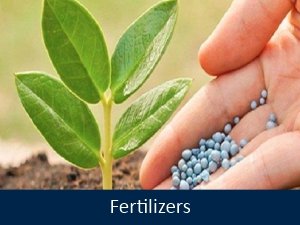 Fertilizers